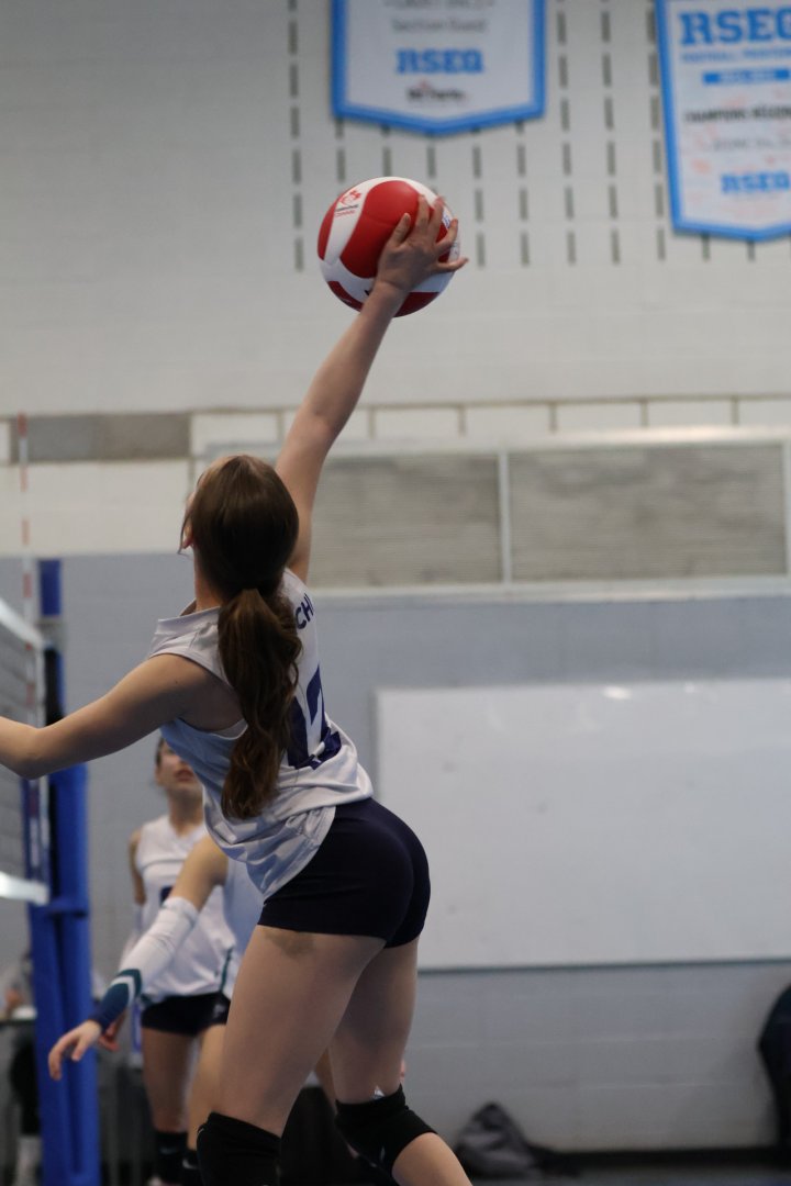 Tournoi Panthères 21 février 2026 - U13 D1