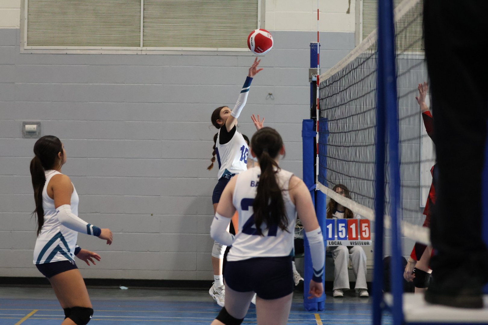 Tournoi Panthères 21 février 2026 - U13 D1