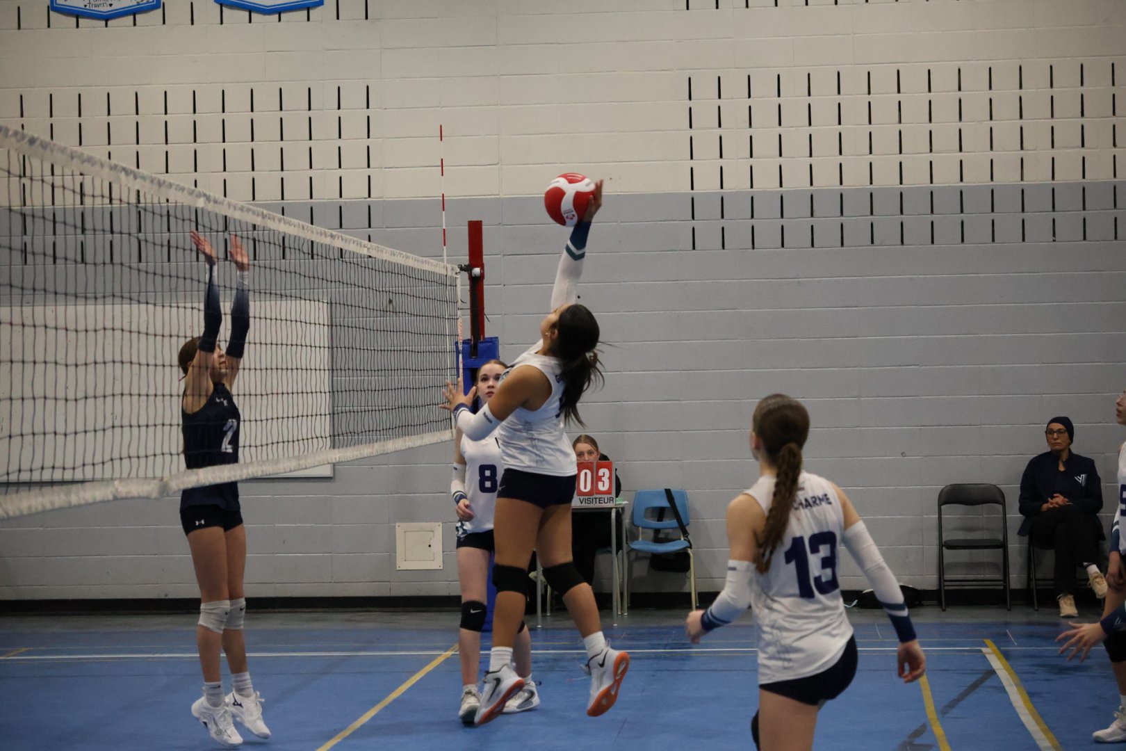 Tournoi Panthères 21 février 2026 - U13 D1